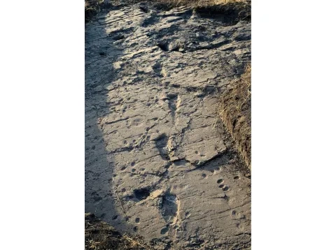 Odtlačky stupají hominidov