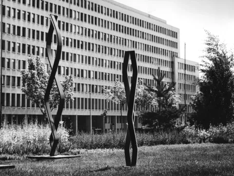 Sochy v meste, 70. roky 20. stor.