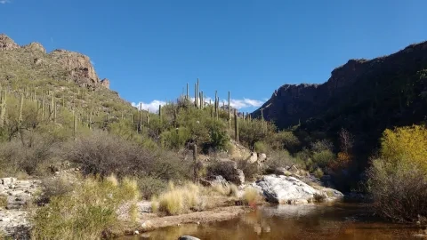 Charakteristická vegetácia územia severne od mesta Tucson, pohorie Santa Catalina Mountains, občasný tok Sabino Creek