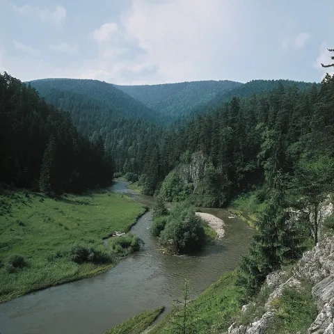 Hornád v blízkosti Hrabušíc 