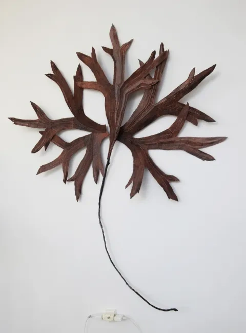 Silvia Fedorová: Pocta Karlovi Blossfeldtovi, paličkovaná čipka, medený drôt, plastové vrecká, 2013