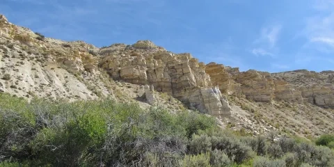 Paleogénne sedimenty eocénu