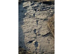 Odtlačky stupají hominidov