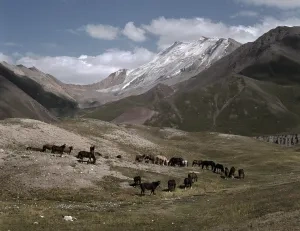 Terskej-Alatau, sedlo Toros
