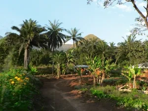 Severozápadná časť krajiny
