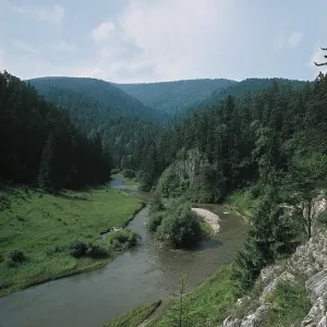 Hornád v blízkosti Hrabušíc 