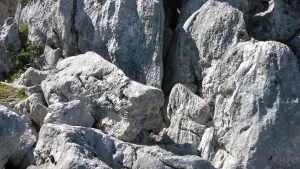 Fosílne vrchnotriasové koralové biohermy