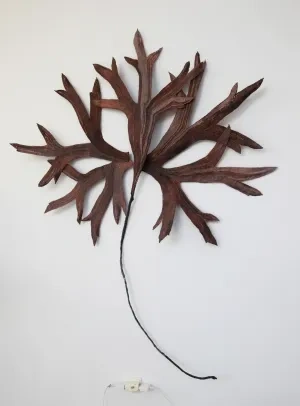 Silvia Fedorová: Pocta Karlovi Blossfeldtovi, paličkovaná čipka, medený drôt, plastové vrecká, 2013