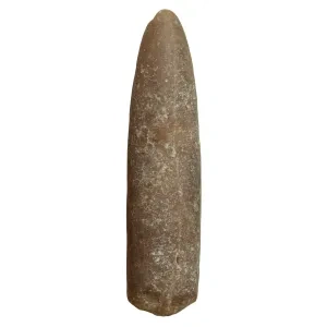 Druh Belemnitella mucronata